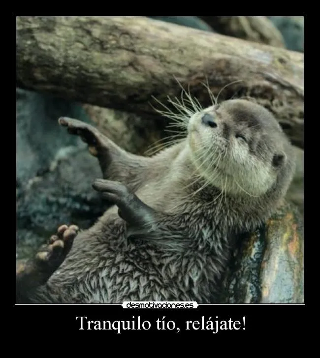 Carteles de Nutria | Desmotivaciones