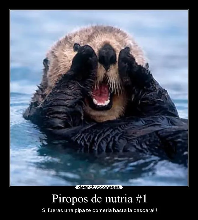 Carteles de Nutria Pag. 3 | Desmotivaciones