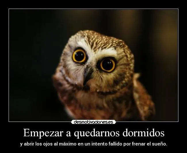 Carteles de Ojos | Desmotivaciones