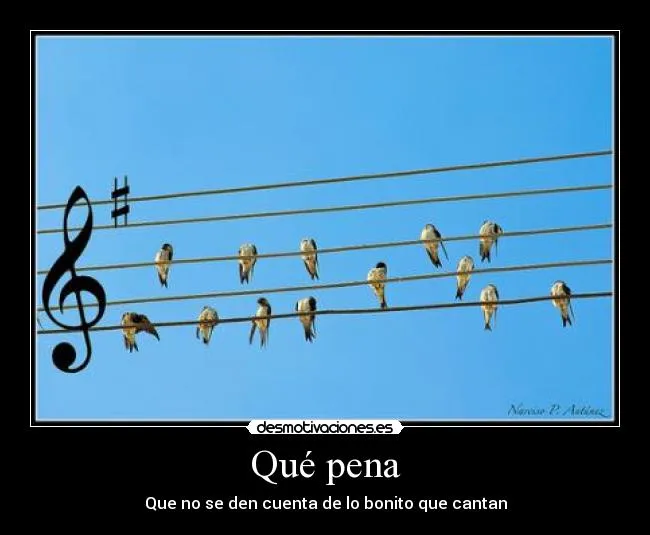 Carteles de Partitura | Desmotivaciones