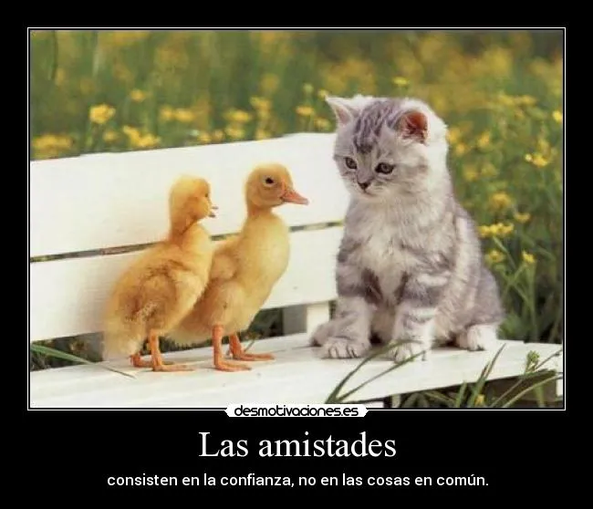 Carteles de Patitos Pag. 8 | Desmotivaciones