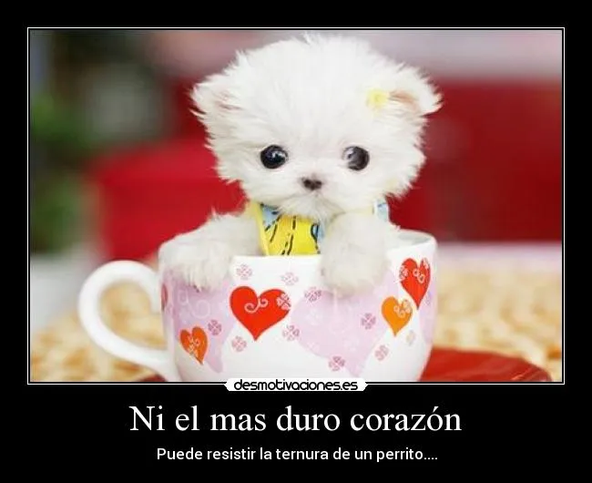 Carteles de Perrito Pag. 84 | Desmotivaciones