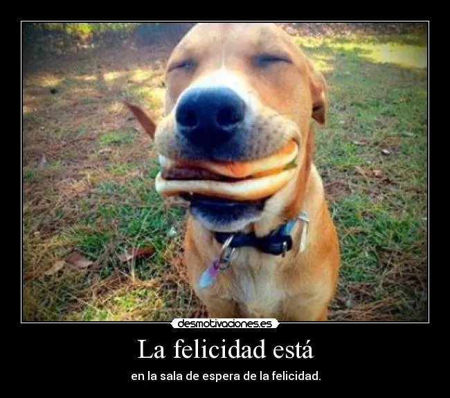 Carteles de Perrito Pag. 9 | Desmotivaciones