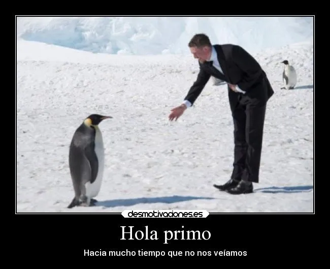 Carteles de Pinguino Pag. 48 | Desmotivaciones