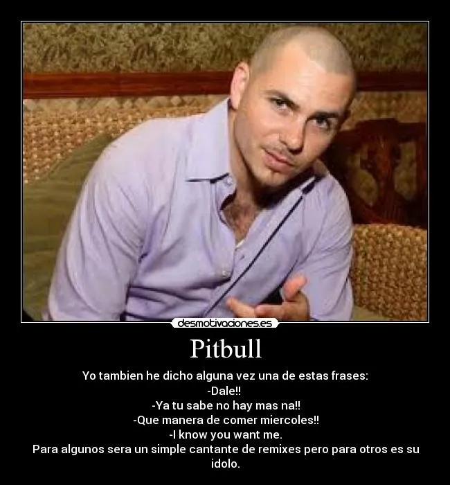 Carteles de Pitbull | Desmotivaciones