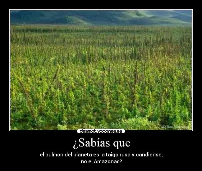 Carteles de Pulmon Pag. 7 | Desmotivaciones