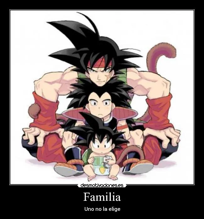 Carteles de Raditz Pag. 2 | Desmotivaciones