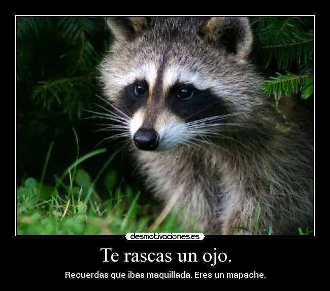 Carteles de Rascarte | Desmotivaciones