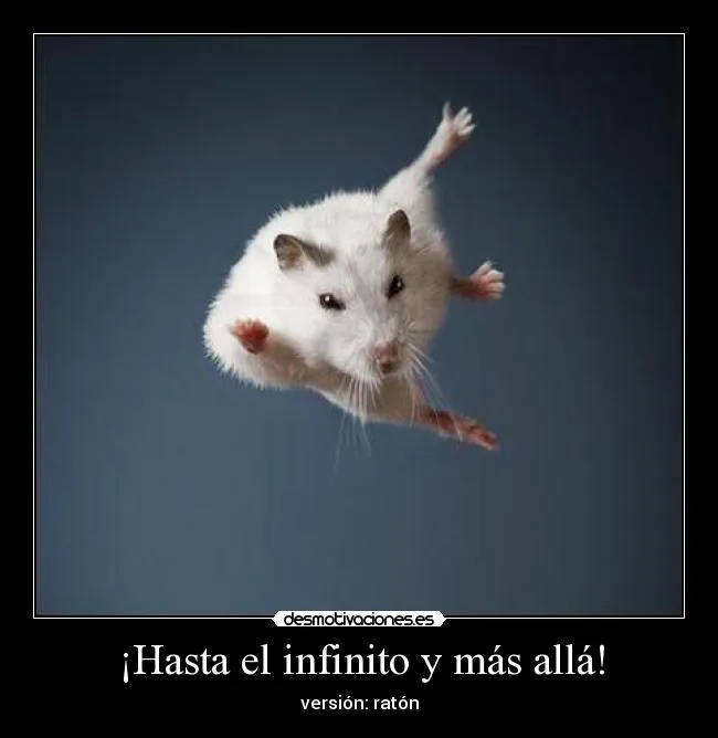 Carteles de Rata Pag. 13 | Desmotivaciones