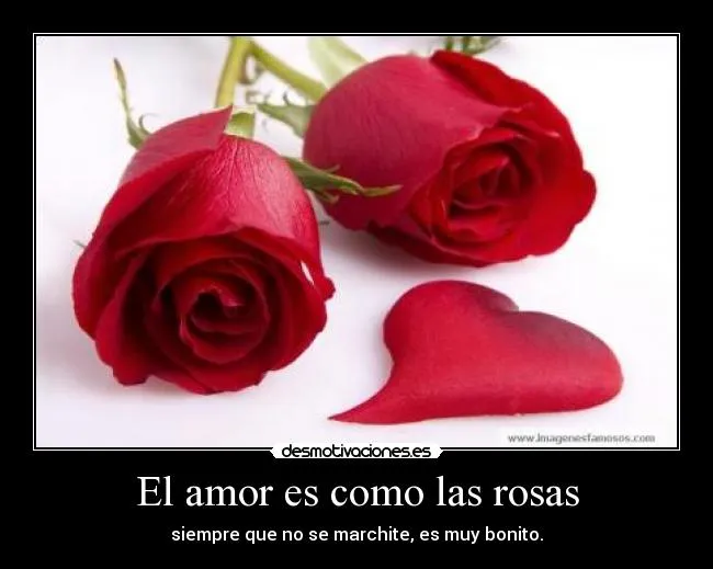 Carteles de Rosas Pag. 51 | Desmotivaciones