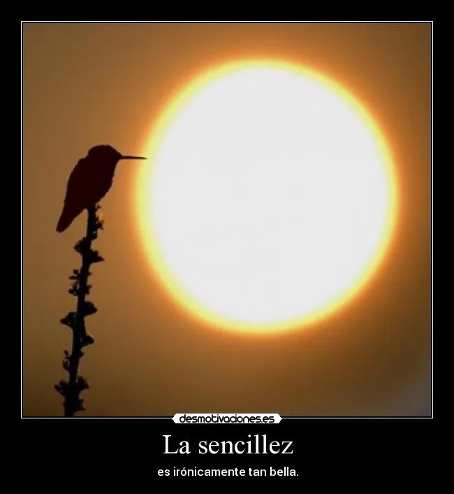 Carteles de Sencillez | Desmotivaciones