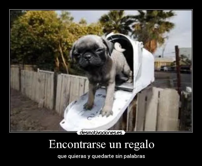 Carteles de Significar Pag. 6 | Desmotivaciones