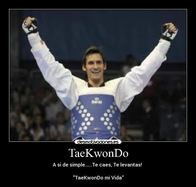 Carteles de Taekwondo Pag. 13 | Desmotivaciones