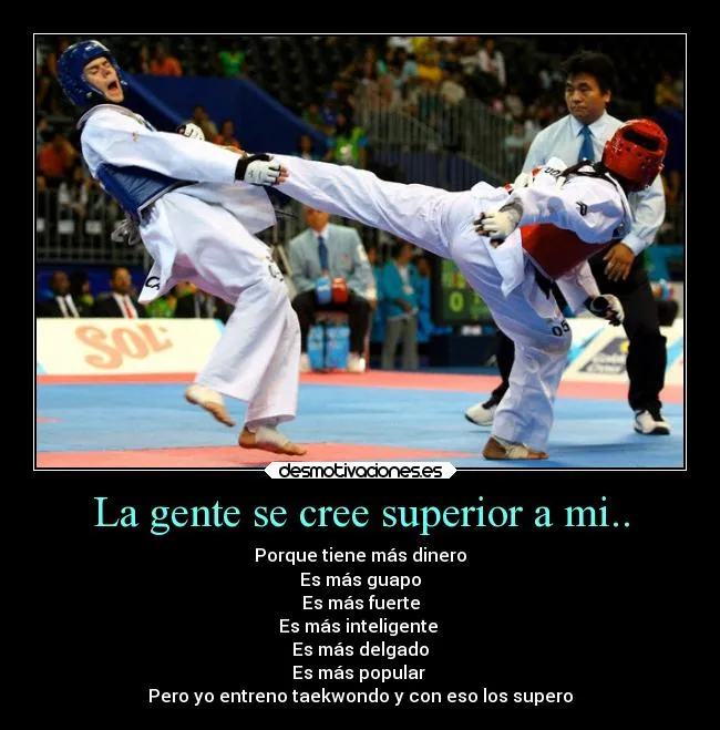 Carteles de Taekwondo Pag. 29 | Desmotivaciones