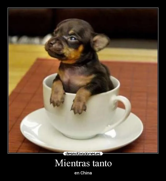 Carteles de Taza Pag. 7 | Desmotivaciones