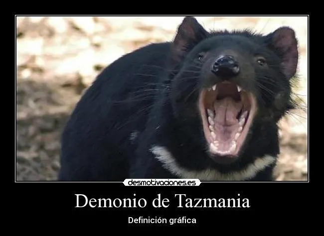 Carteles de Tazmania | Desmotivaciones