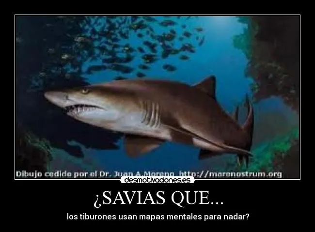 Carteles de Tiburones Pag. 23 | Desmotivaciones