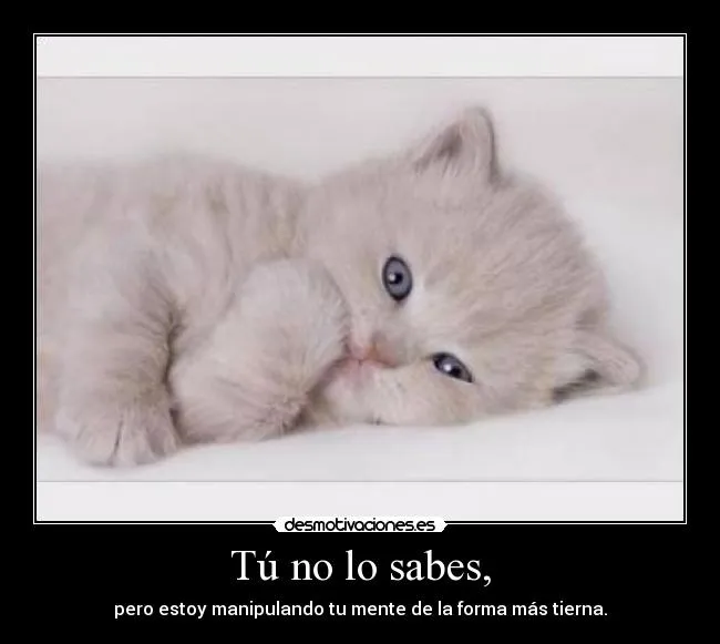 Carteles de Tierna Pag. 5 | Desmotivaciones