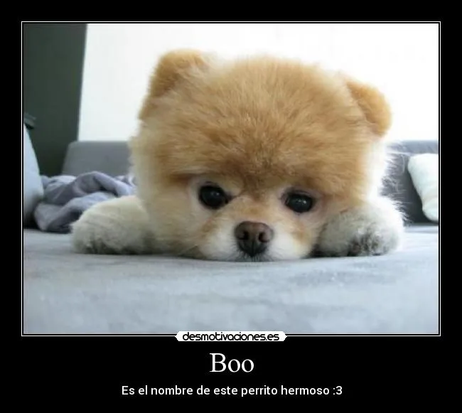 Boo | Desmotivaciones