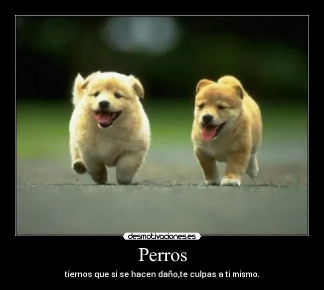 Carteles de Tiernos Pag. 6 | Desmotivaciones