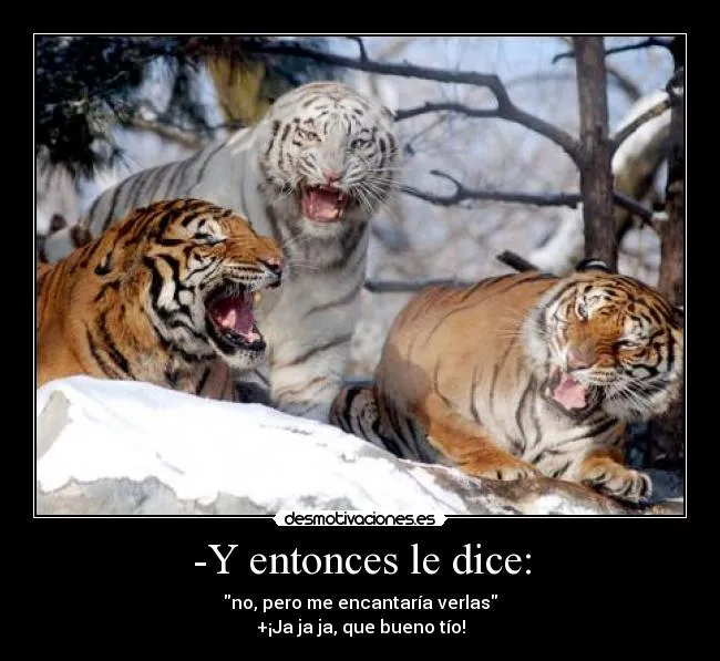 Carteles de Tigres Pag. 8 | Desmotivaciones