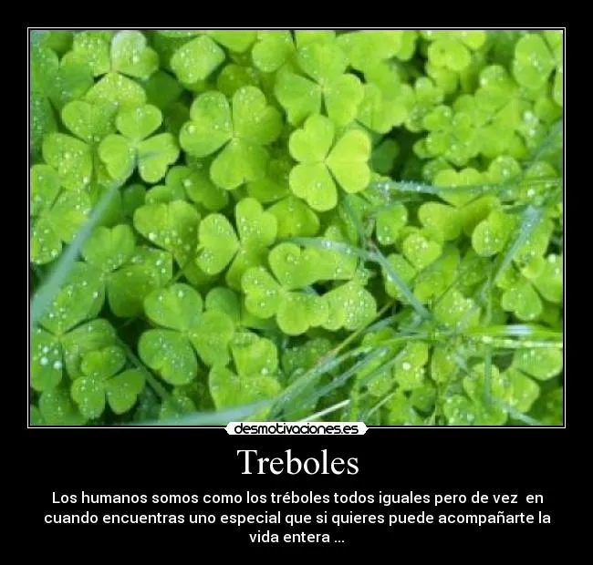 Carteles de Treboles | Desmotivaciones