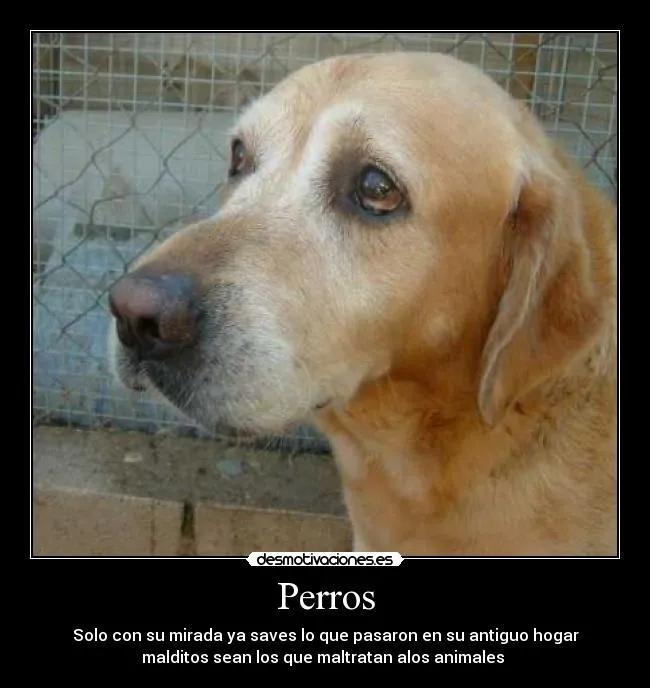 Carteles de Tristes Pag. 9 | Desmotivaciones