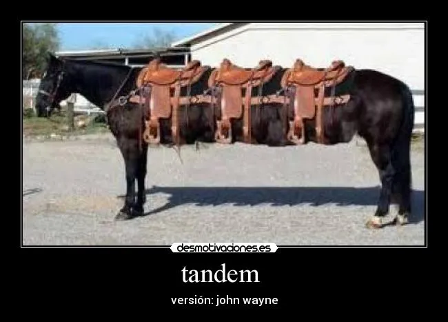 Carteles de Vaqueros Pag. 5 | Desmotivaciones