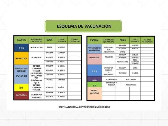 Cartilla Nacional De Vacunación De México