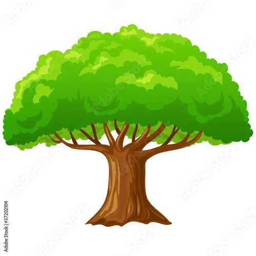 Cartoon big green tree isolated on white. © alexeyzet #37202104 ...