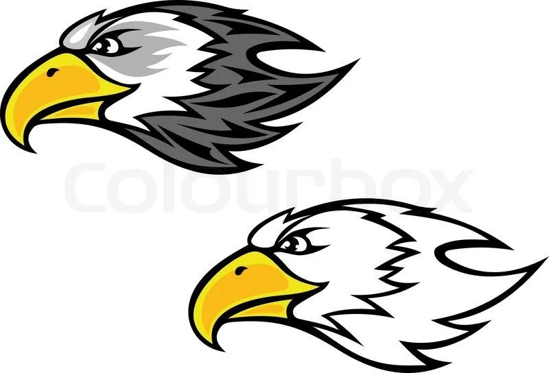 Cartoon falcon or hawk head for mascot or tattoo design | Vector ...