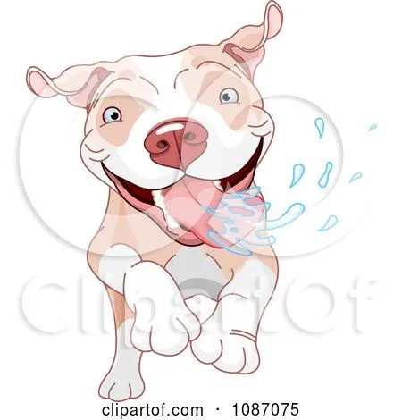 Cartoon of a Happy Cute Husky Dog Sitting - Royalty Free Vector ...