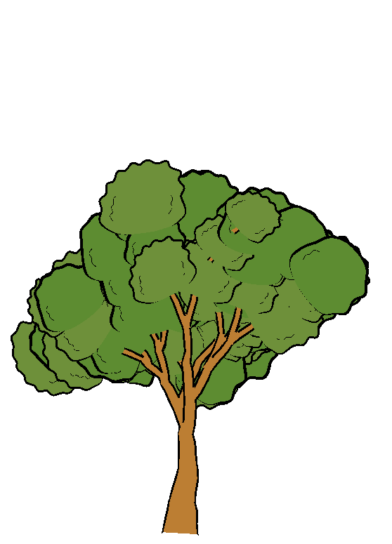 Cartoon Trees Images - ClipArt Best