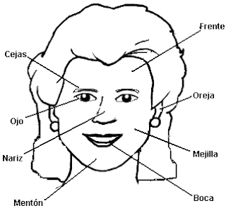 La cara y sus partes para colorear - Imagui