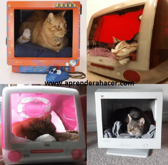 Casa para gato con monitor reciclado