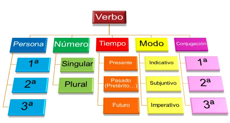 La casa del pasarón: El verbo