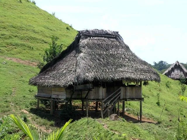 Casas indígenas (Ngöbe-Buglé) - Native houses on hillside, Bocas ...