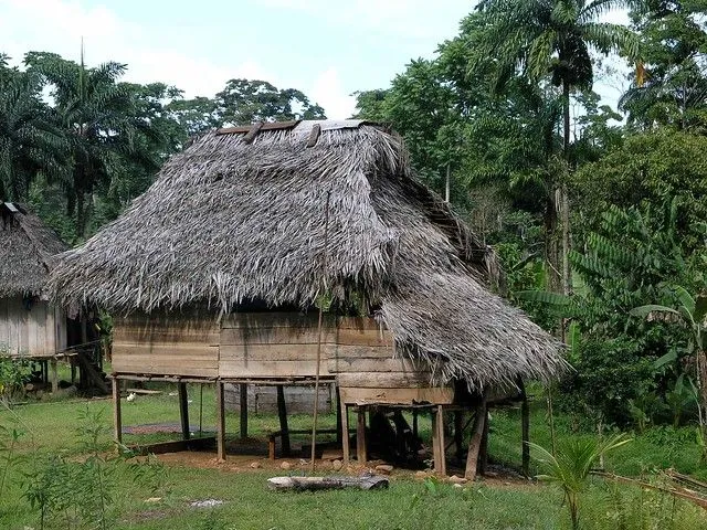 Casas indígenas (Ngöbe-Buglé) - Palm roof Native houses, Bocas del ...