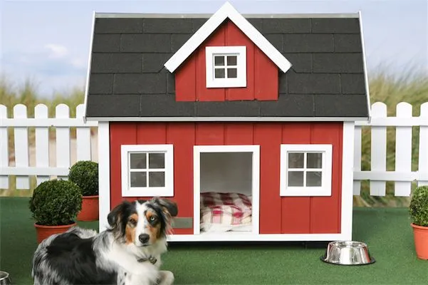 Casas para perros con estilo.