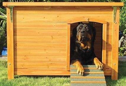 Casas para Perros de diferentes Materiales | Articulos de Perros