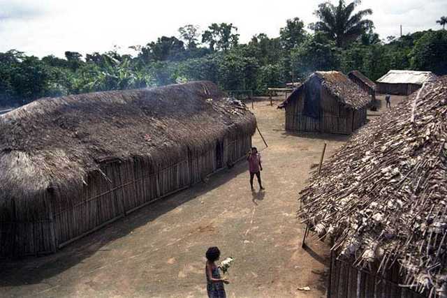 Casas | Povos Indígenas no Brasil Mirim