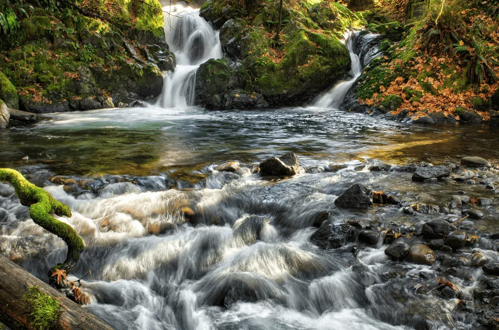 Cascadas de agua cristalina en medio del bosque | Banco de Imagenes