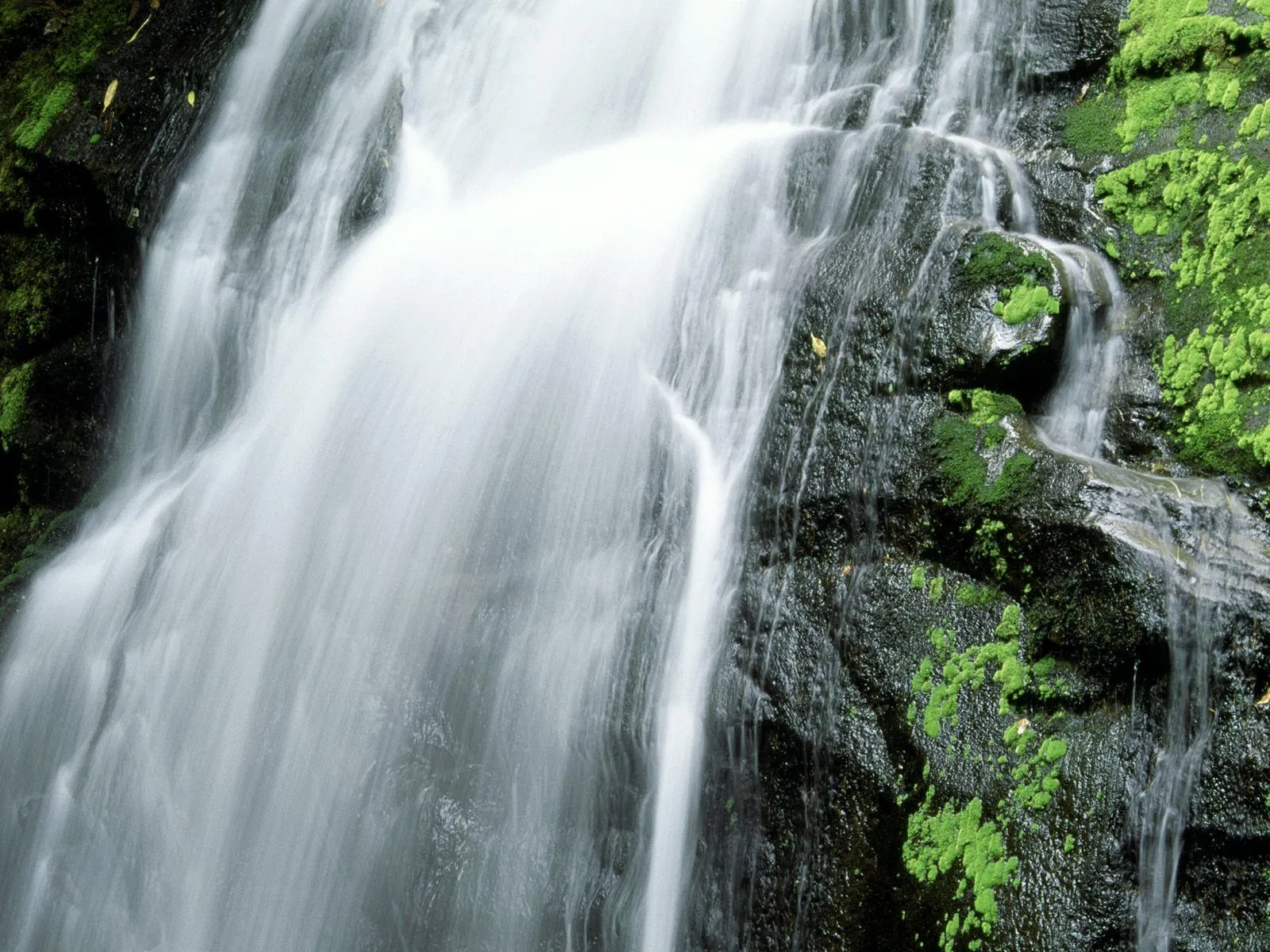 Las cascadas más famosas del mundo (50 fotografías) | Banco de ...