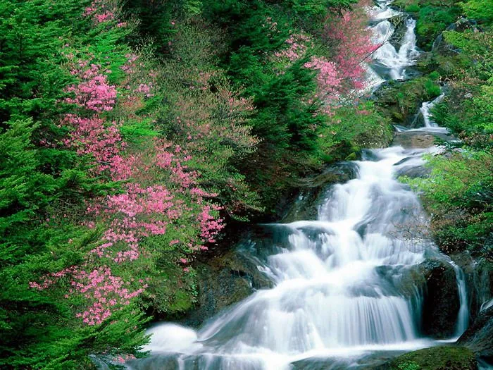 Imagenes de cascadas con flores - Imagui