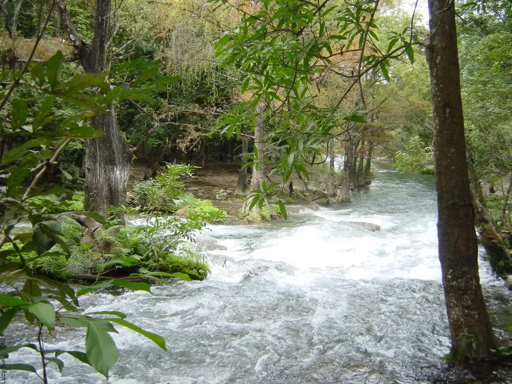 Cascadas de Micos - Ciudad Valles SLP México 2002 | Flickr - Photo ...