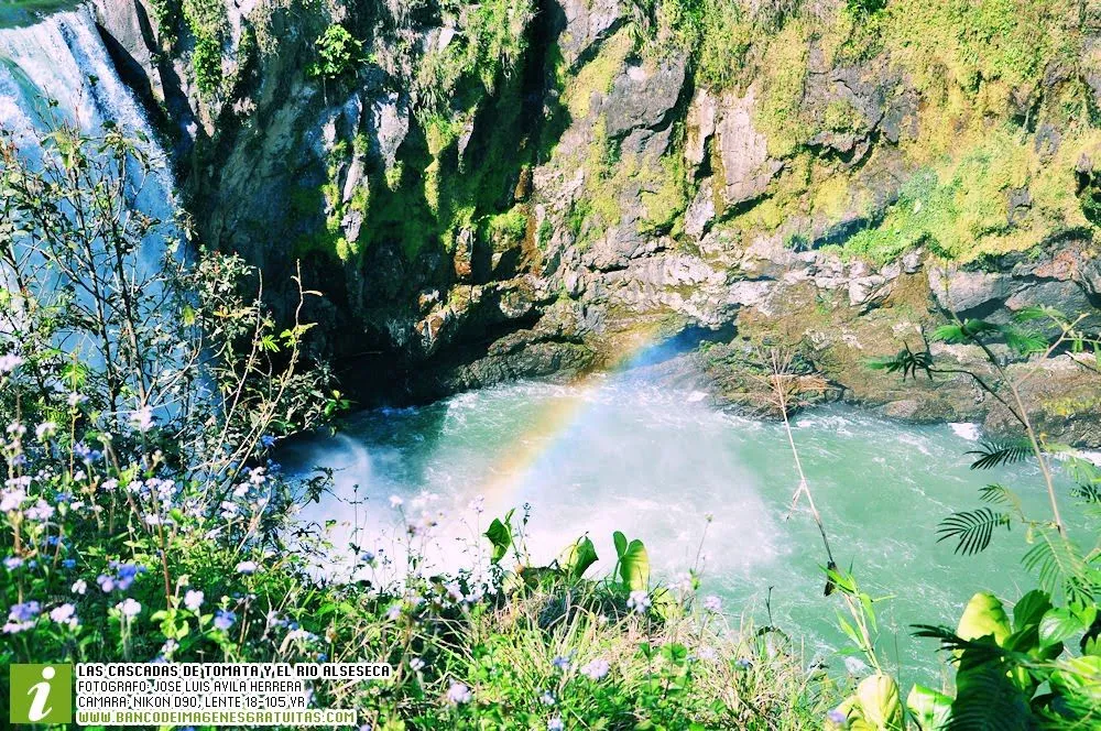 Las cascadas de Tomata en Tlapacoyan, Veracruz. (47 fotografías ...