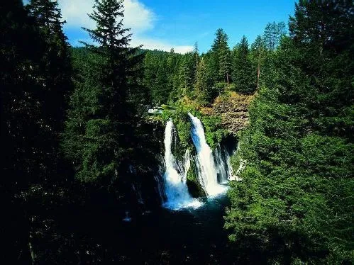 Cascadas, viva alegría en la Naturaleza