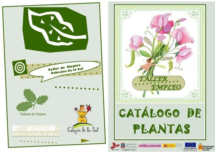 Catalogo plantas