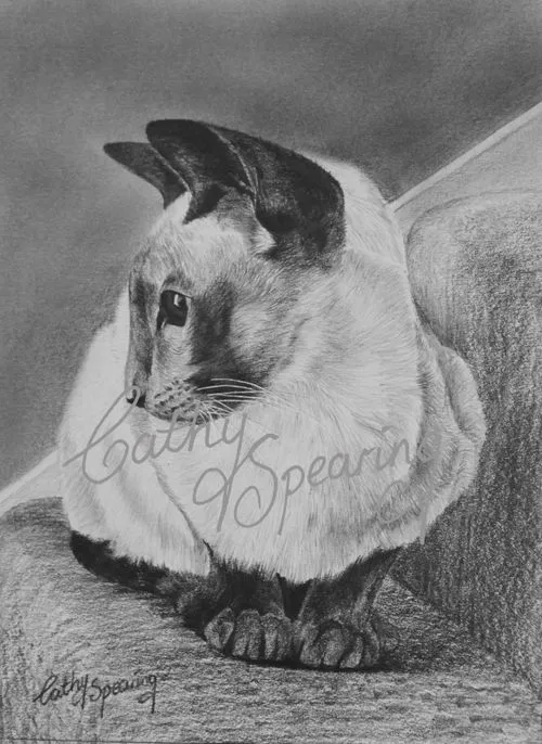 Cathy Spearing - Equestrian and animal artist.: Siamese Cat in ...