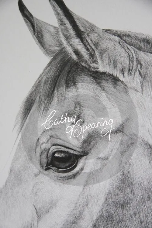 Cathy Spearing - Equestrian and animal artist.: February 2012